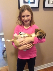 988807_10153953702105921_5750198390203157274_n