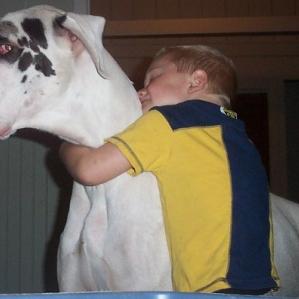 great-dane.jpg