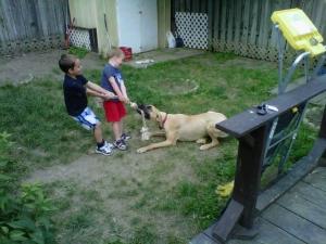 img01064-20110620-1910