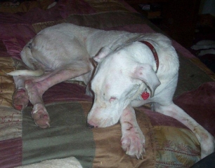 09 - Casper