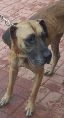 07 - Zena
