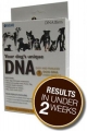 dna-my-dog-kit